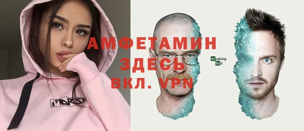 мдпв Няндома