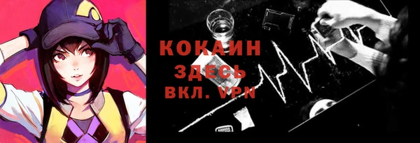 прущие грибы Новозыбков