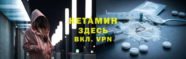 прущие грибы Новозыбков
