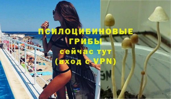 не бодяженный Ивангород