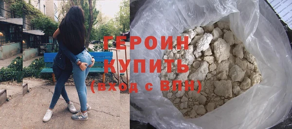 прущие грибы Новозыбков