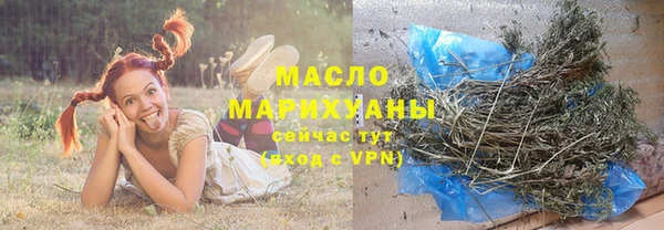 прущие грибы Новозыбков