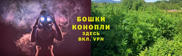 сатива Нязепетровск