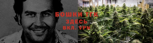 кокаин колумбия Новодвинск