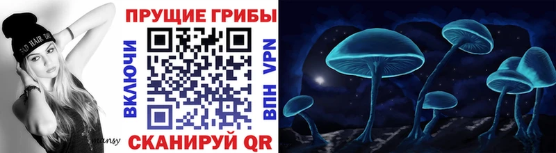 даркнет сайт  Кандалакша  Псилоцибиновые грибы Psilocybine cubensis 