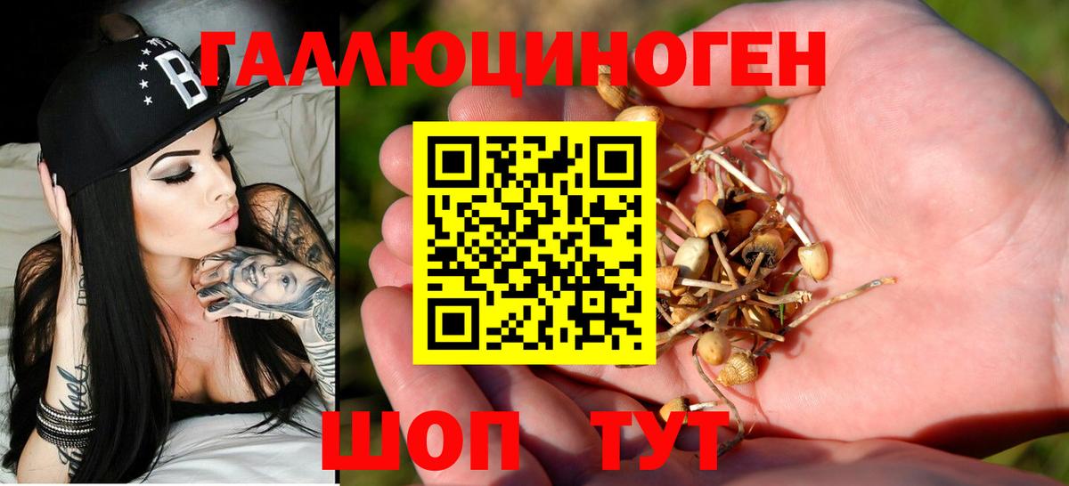 Галлюциногенные грибы прущие грибы  Галлюциногенные грибы мухоморы  Вход с VPN  Кандалакша 