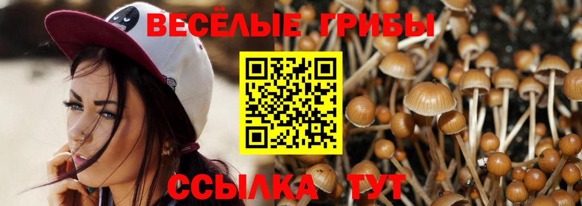 Галлюциногенные грибы прущие грибы Кандалакша