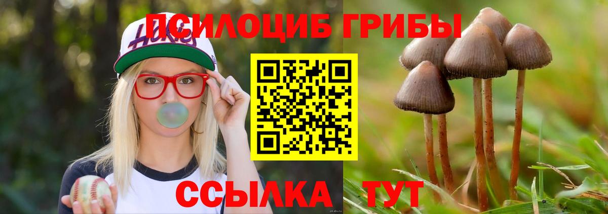 Бошки Шишки Кандалакша